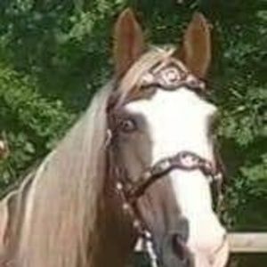 Meet your Posher, Janet